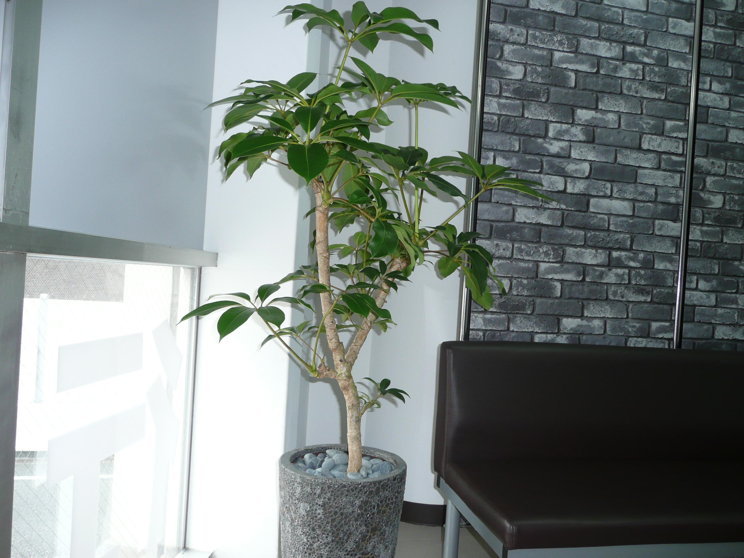 大阪旅行、難波、难波、行李寄存、投幣式儲物櫃、投币式储物柜、namba Laggage storage、荷物預かり、RakuRaku Baggage Storage,